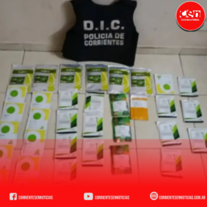 Golpe al robo de insumos: recuperan semillas millonarias sustraídas en Lavalle