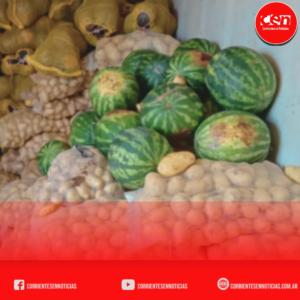 Seguridad Alimentaria: destruyen más de 20 toneladas de frutas por graves fallas de trazabilidad en Corrientes