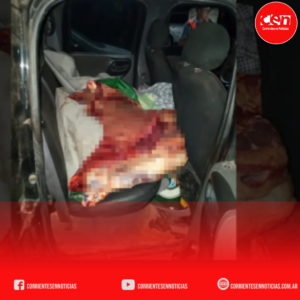 Operativo en Ruta 5: Secuestran cargamento de carne ilegal y decomisan una camioneta en Lomas de González