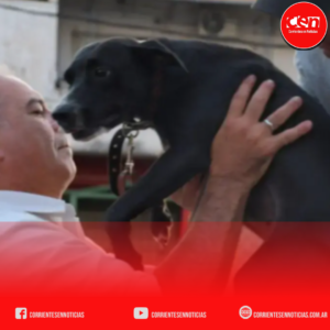 Caso “Alita”: la Justicia de Corrientes ordena reabrir la investigación por crueldad animal