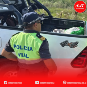 Operativo en Ituzaingó: Secuestran 100 kilos de carne ilegal en la intersección de las Rutas 12 y 118