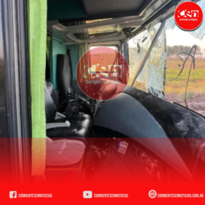 Milagro en la Ruta 118: un colectivo chocó contra un búfalo y despistó, pero los 23 pasajeros resultaron ilesos