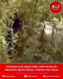 Denuncian un grave caso de maltrato animal en Sáenz Peña: buscan identificar a un adolescente